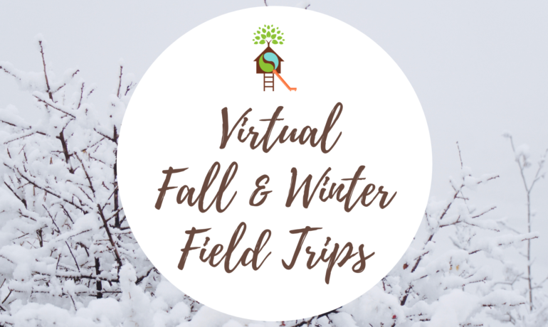Fall & Winter 2020 Virtual Field Trips