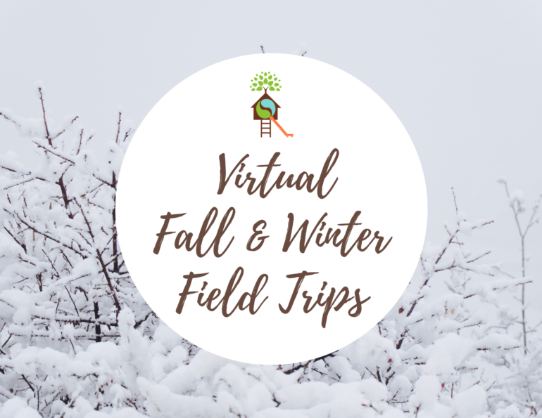 Fall & Winter 2020 Virtual Field Trips