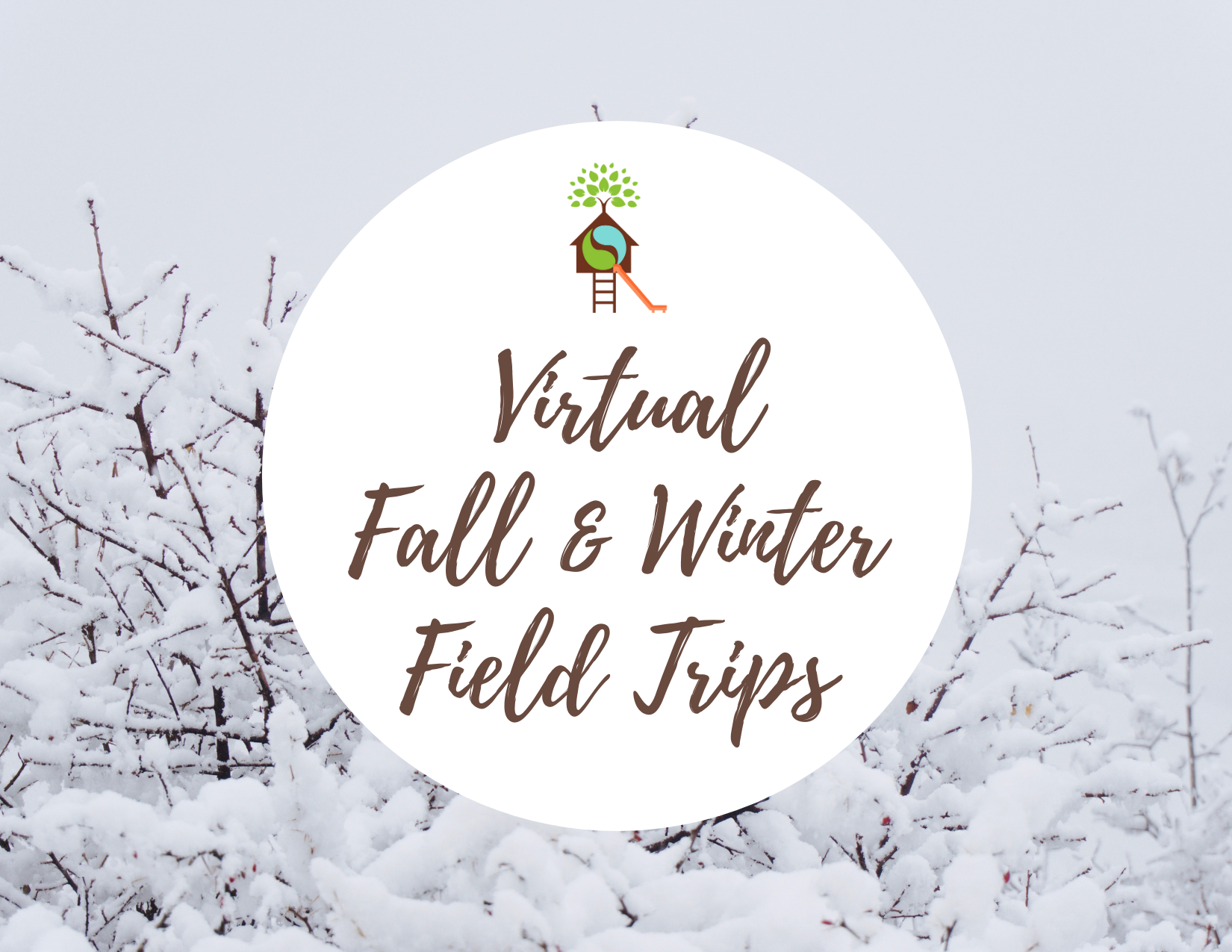 Virtual Fall and Winter Field Trips