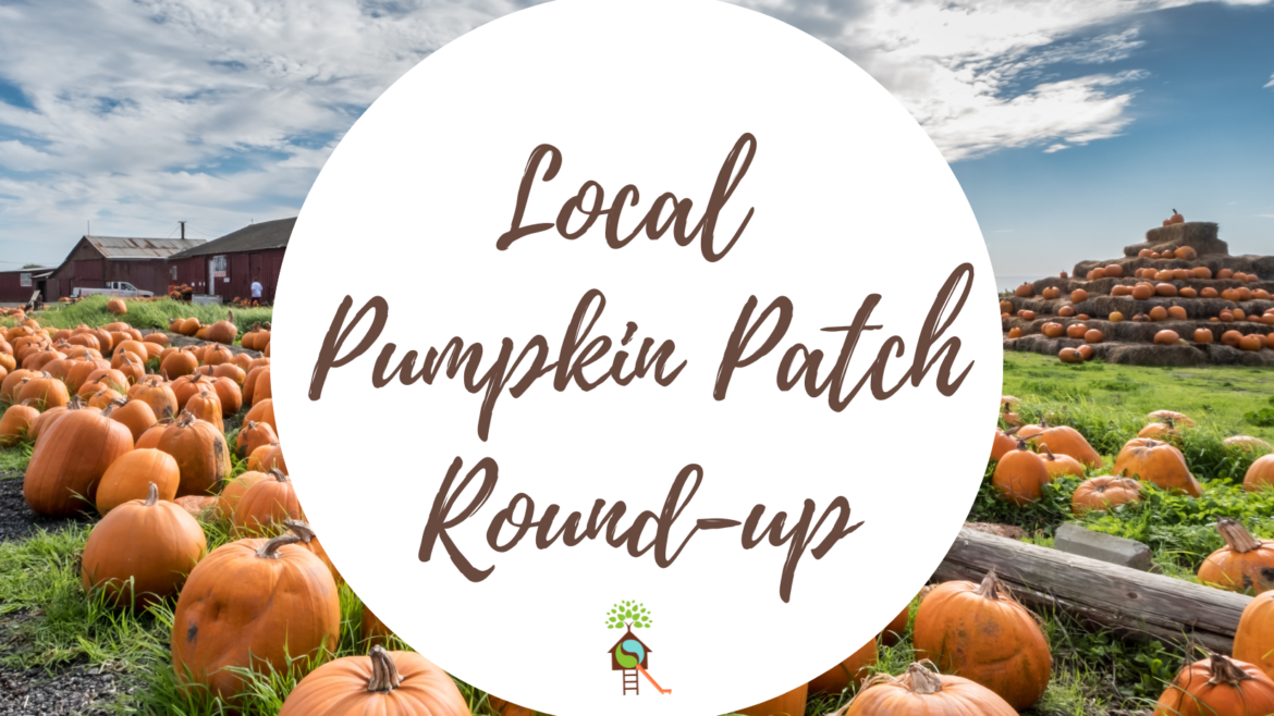 Five of Our Favorite Area Pumpkin Patches